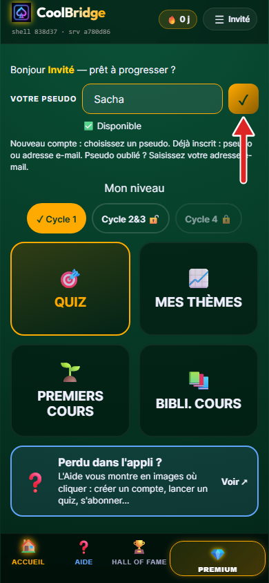 Accueil de l'appli, pseudo saisi et disponible, flèche sur le bouton de validation ✓