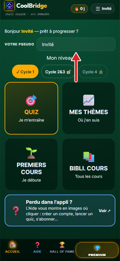 Accueil de l'appli, flèche sur la case du pseudo