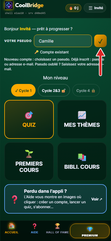 Accueil de l'appli, pseudo saisi, flèche sur le bouton de validation ✓